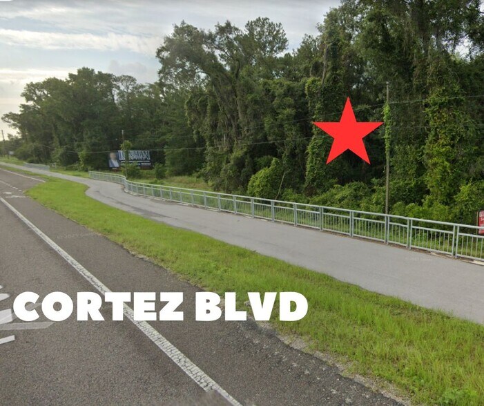 More Photos Of 00 Cortez, Brooksville Land For Sale