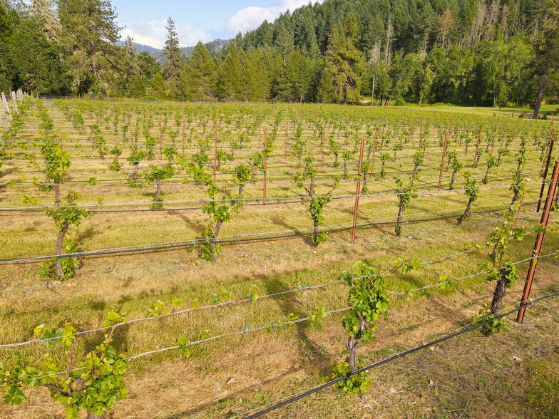 More Photos Of 1329 Larson Rd, Roseburg Winery Vineyard For Sale