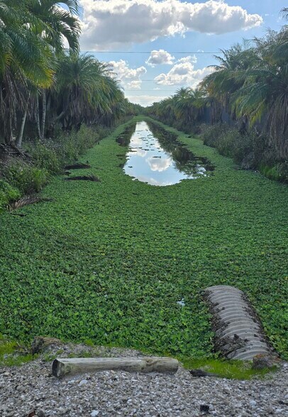 More Photos Of 20125 Charles Green Blvd, Loxahatchee Land For Sale