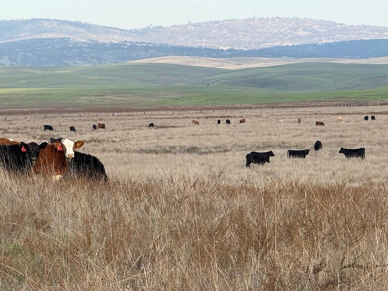 More Photos Of Dunton Rd @ CA Hwy 4, Oakdale Land For Sale
