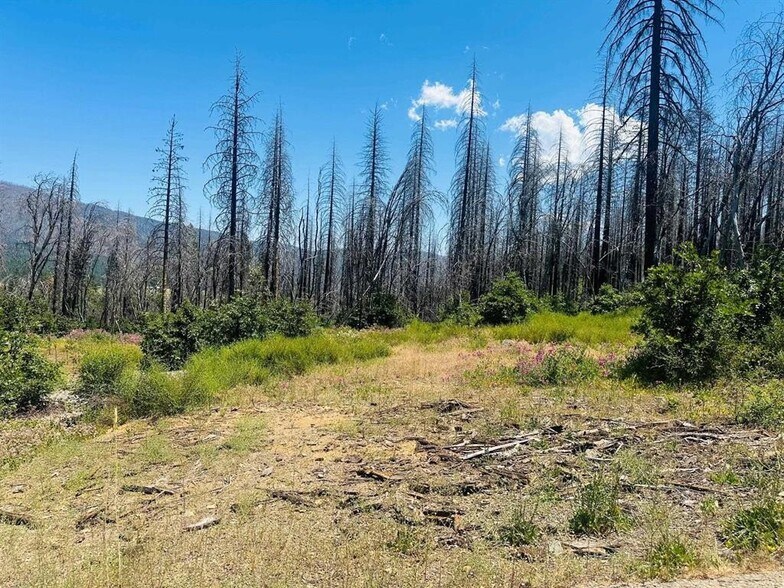 More Photos Of 172 Standart Mine Road Rd, Greenville Land For Sale