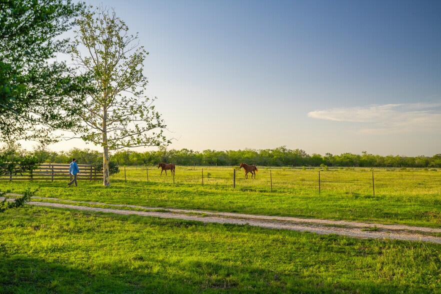 More Photos Of 5279 FM 1117, Nixon Land For Sale