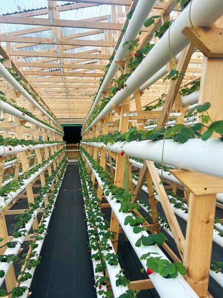 More Photos Of 3510 Walk in Water Rd, Lake Wales Winery Vineyard For Sale