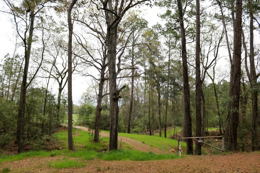 More Photos Of 12244 Serenity Rose Dr, Conroe Lodge Meeting Hall For Sale