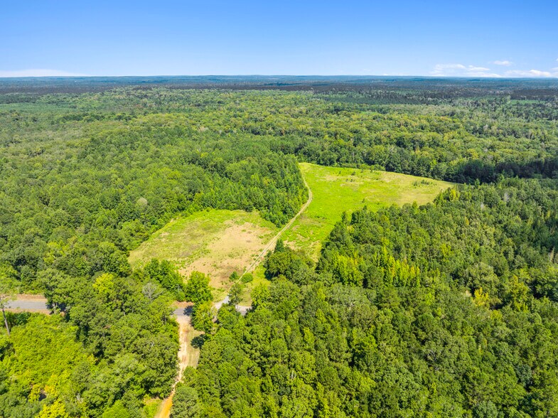 More Photos Of 7471 Highway 155, Saline Land For Sale