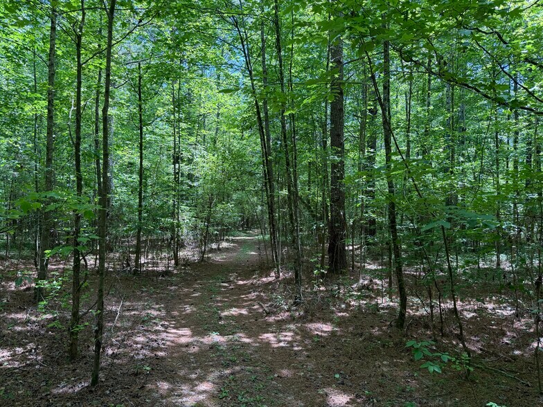 More Photos Of 1593 Old Alabama rd, Taylorsville Land For Sale