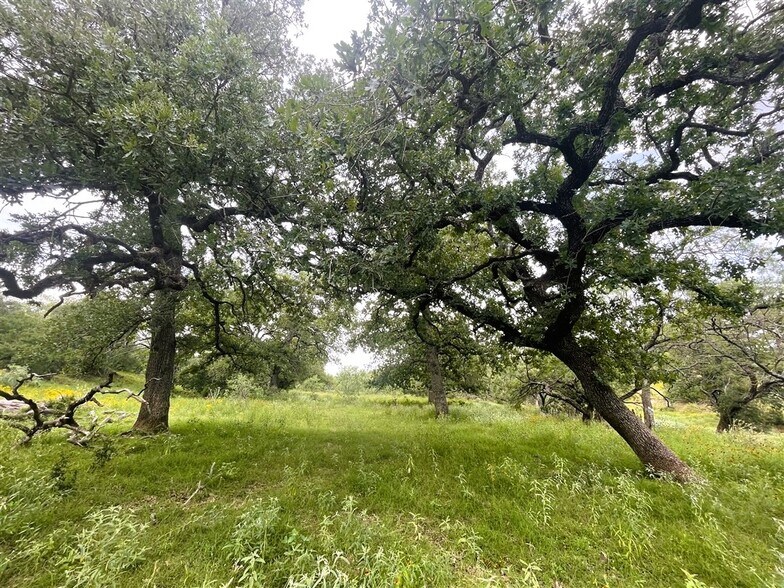 More Photos Of TBD County Road 110 c, Burnet Land For Sale