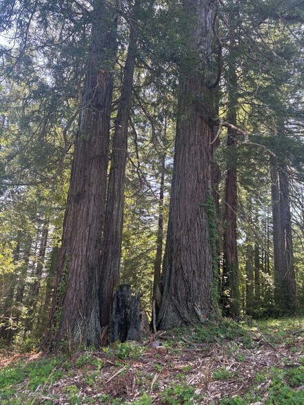 More Photos Of 21380 Siri rd, Guerneville Land For Sale