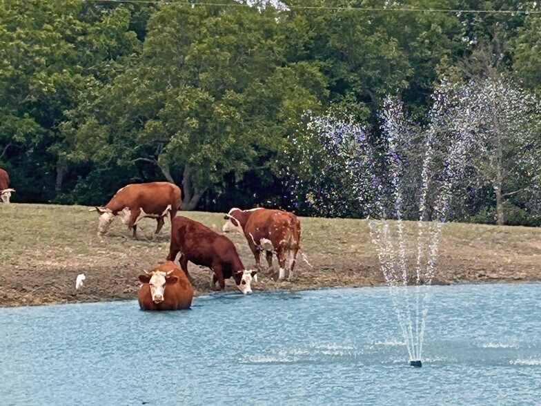 More Photos Of 1050 County Road 5025, Leonard Lodge Meeting Hall For Sale