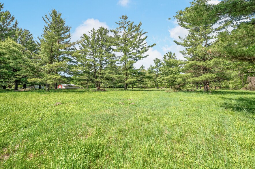 More Photos Of V/L 220th Ave, Big Rapids Land For Sale