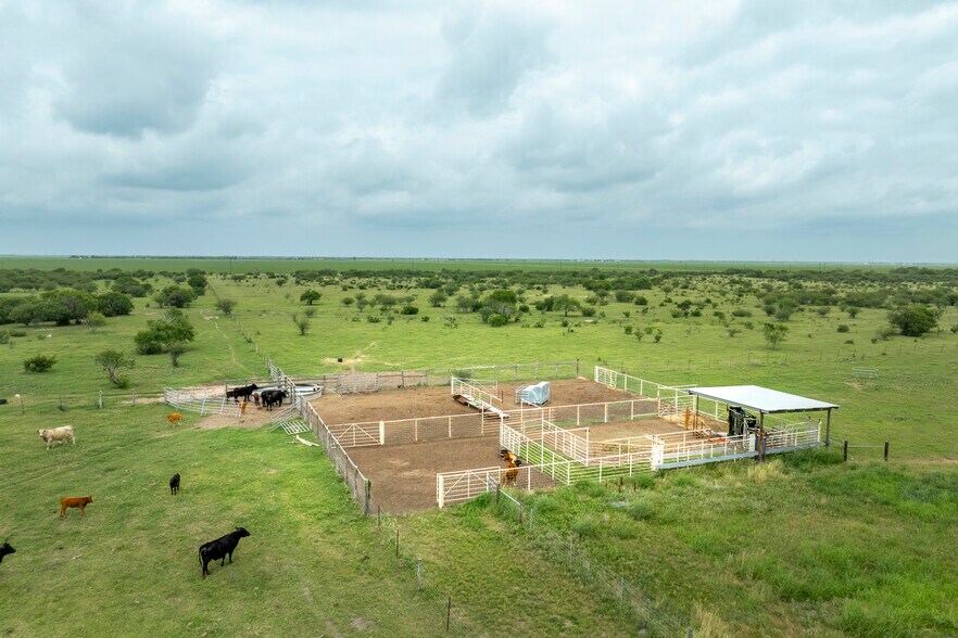 More Photos Of 1038 FM 1360, Woodsboro Land For Sale