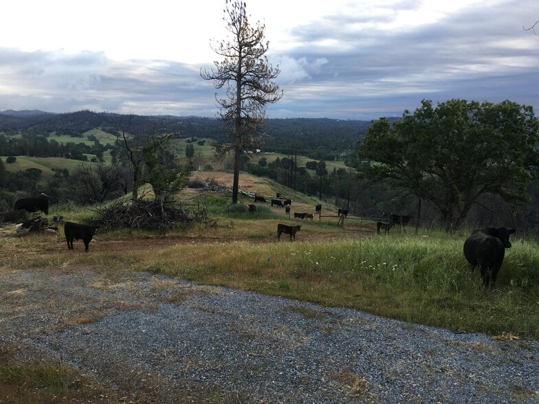 More Photos Of 7005 Mountain Ranch Rd, Mountain Ranch Land For Sale