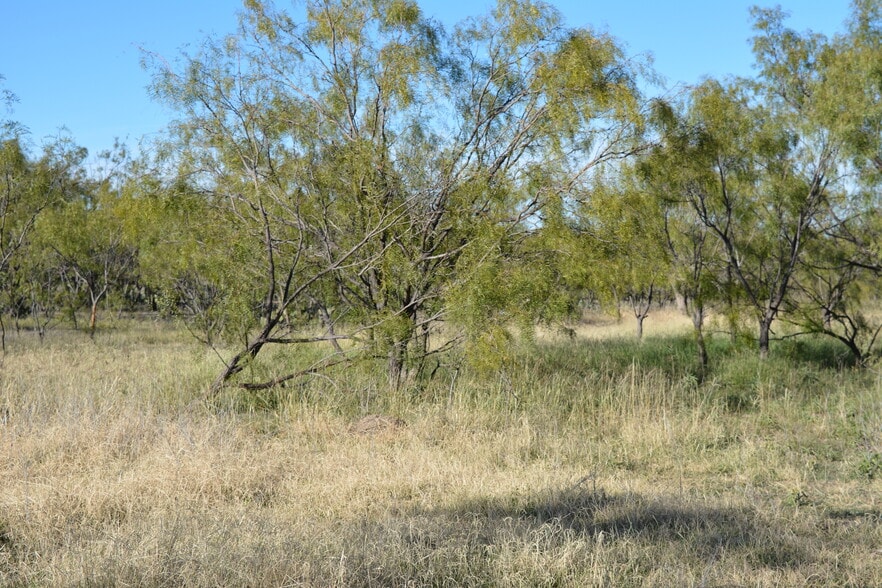 More Photos Of CR 1329, Paint Rock Land For Sale