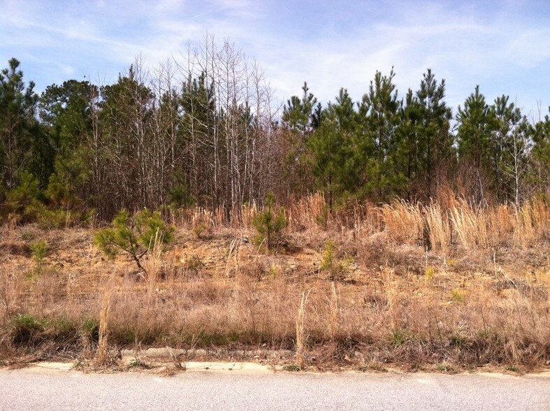 Primary Photo Of 1376 Ruin Creek Rd, Henderson Land For Sale