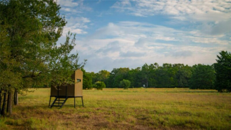 More Photos Of 705 Antioch Rd, Paige Land For Sale