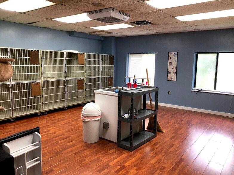 More Photos Of , Derby Unknown For Sale