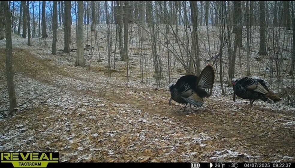 More Photos Of Fisher Road, Iola Land For Sale