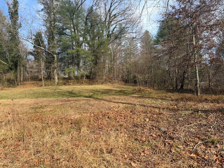 More Photos Of 3740 Brevard Rd, Horse Shoe Land For Sale