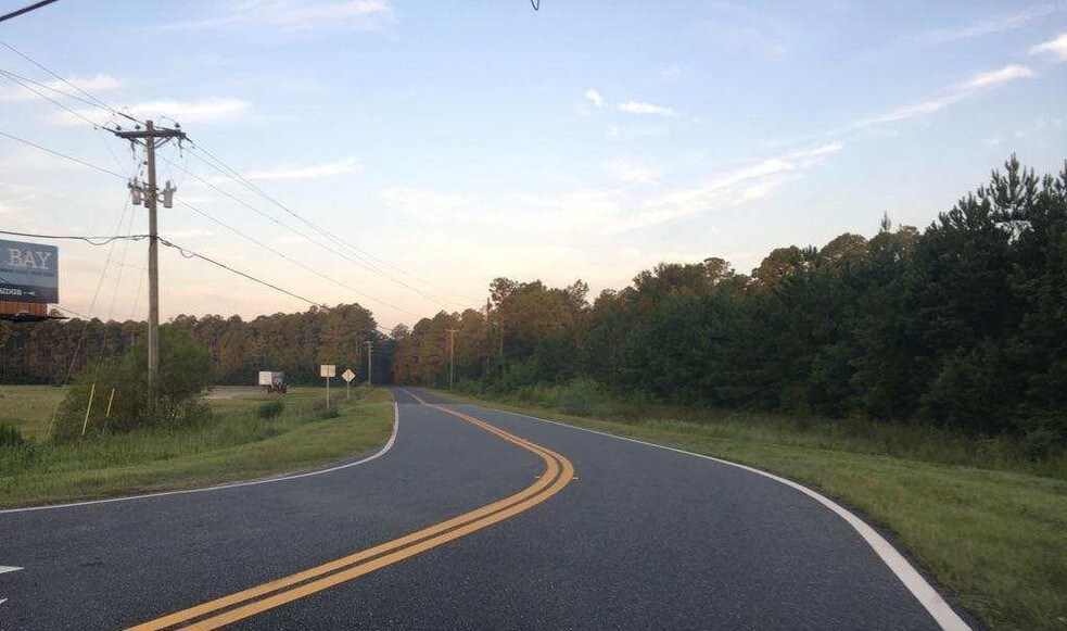 More Photos Of Hwy 331, Freeport Land For Sale