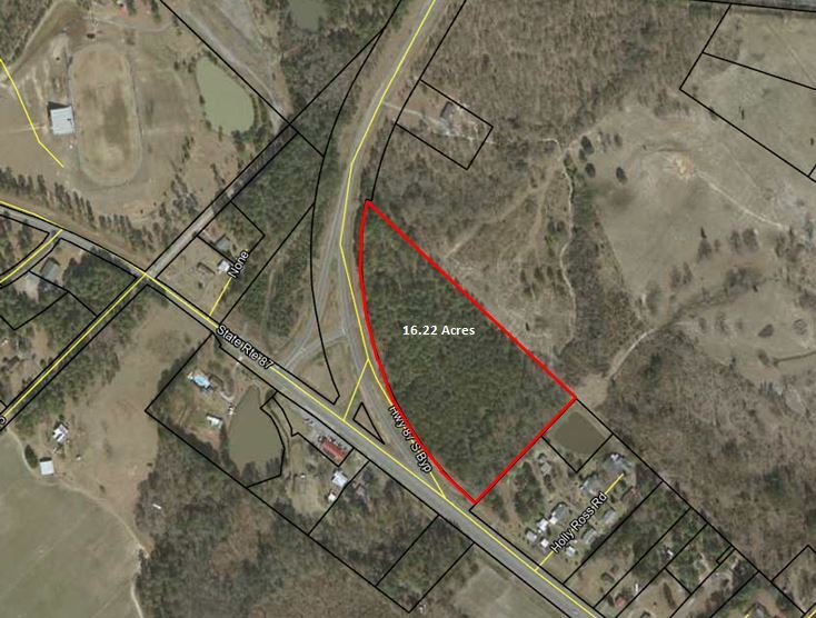 Primary Photo Of Hwy 87 & 87 Bypass, Cochran Land For Sale