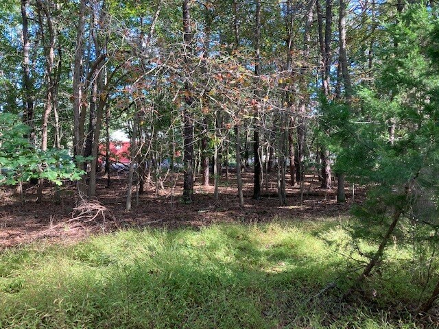 More Photos Of 251 W Commodore Blvd, Jackson Land For Sale