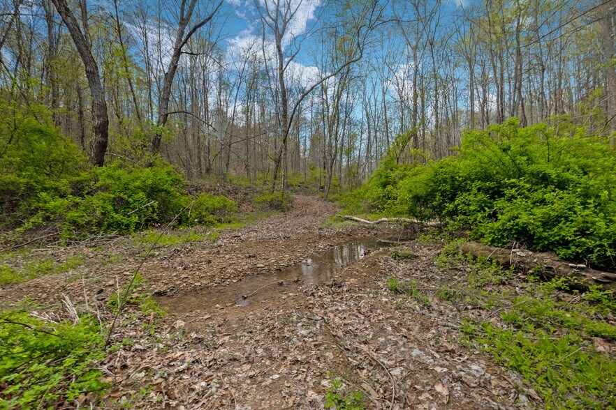 More Photos Of 5400 Saunders Rd, Logan Land For Sale