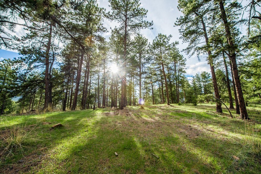 More Photos Of 10250 S Highway 73, Conifer Land For Sale