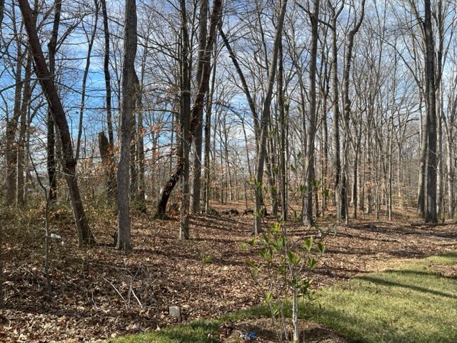 More Photos Of Farragut Drive, Bryans Road Land For Sale