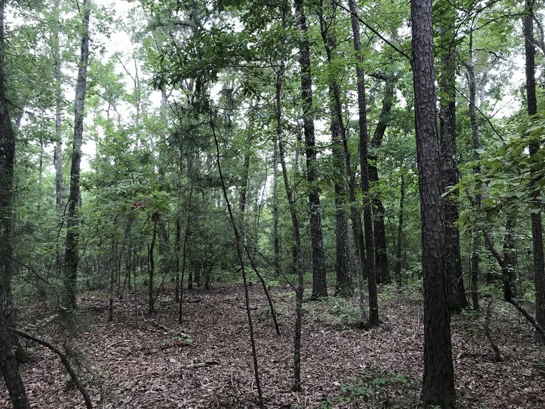 More Photos Of 103 Bailey Jester Rd, Griffin Land For Sale