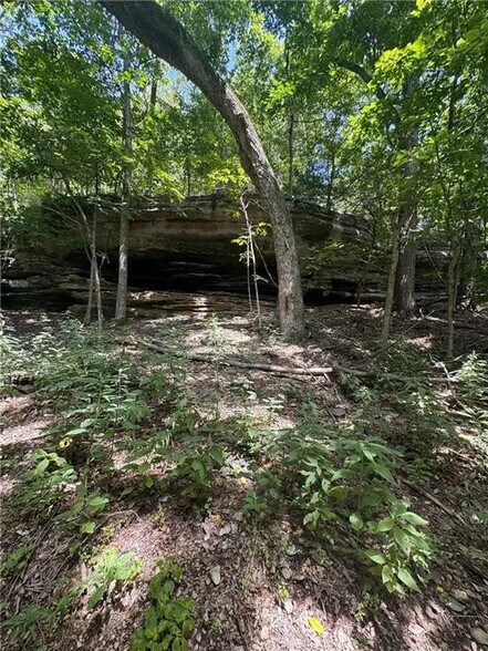 More Photos Of 190 Edgewater Dr, Eureka Springs Land For Sale