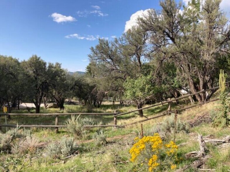 More Photos Of 200 325 S, Pine Valley Land For Sale
