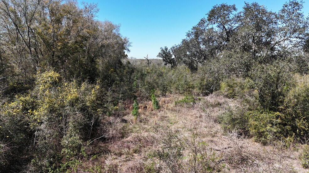 More Photos Of W US Highway 90 Hwy, Lake City Land For Sale