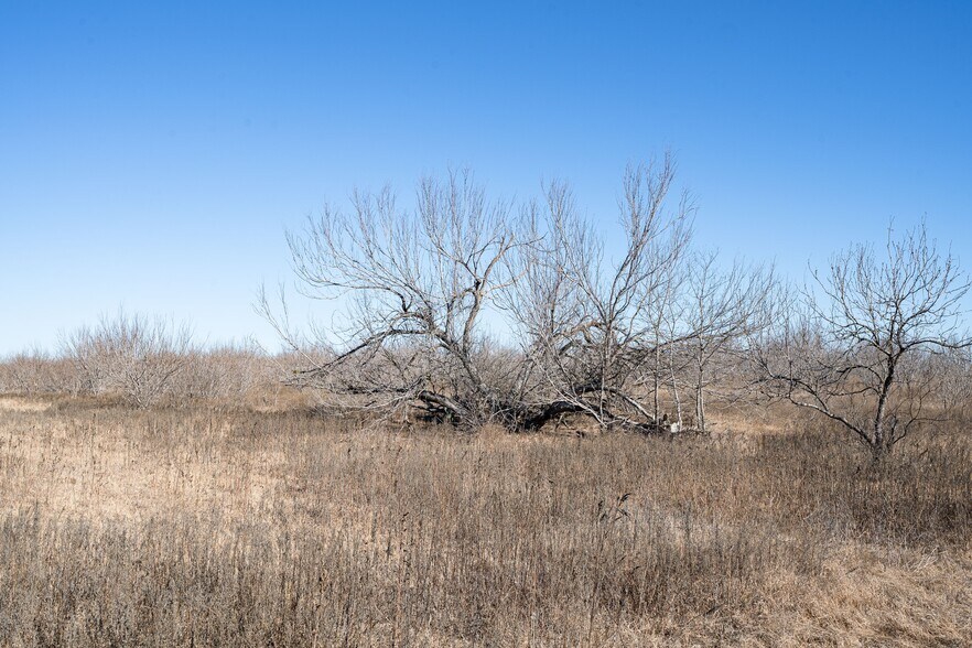 More Photos Of TBD Richards Dr, Del Valle Land For Sale