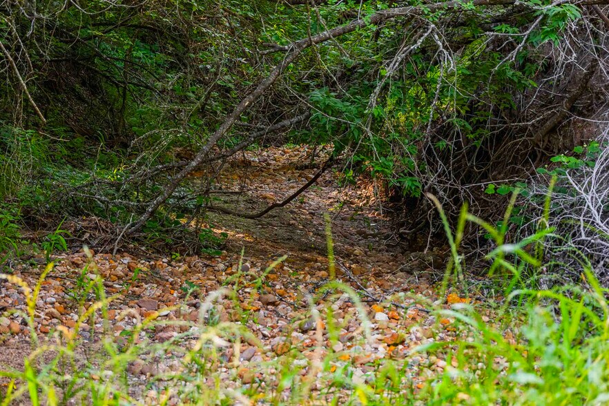 More Photos Of 256 Greasy Bend rd, Smithville Land For Sale