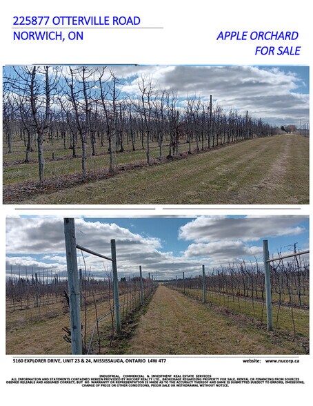 More Photos Of 225863 Otterville Road, Norwich Land For Sale