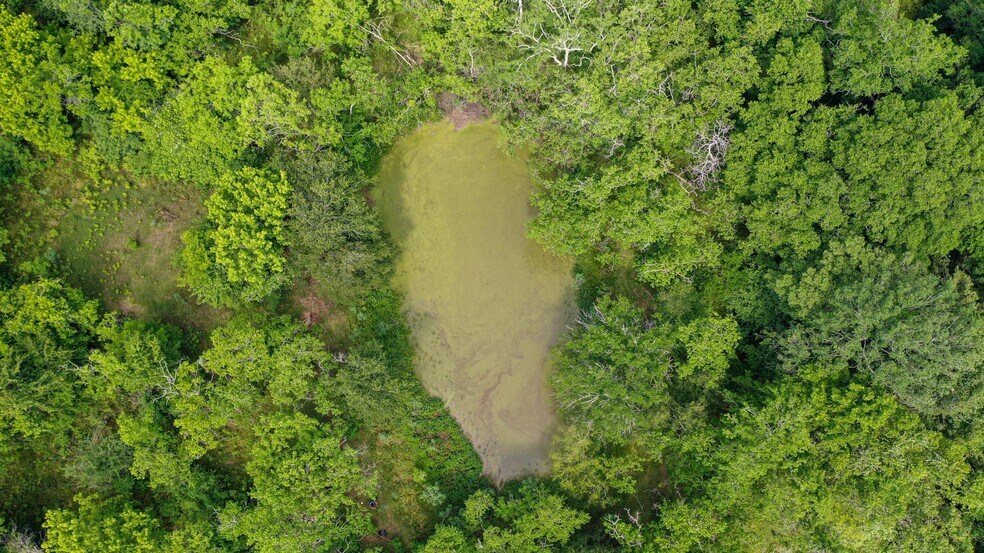 More Photos Of 2932 W FM 1462, Rosharon Land For Sale