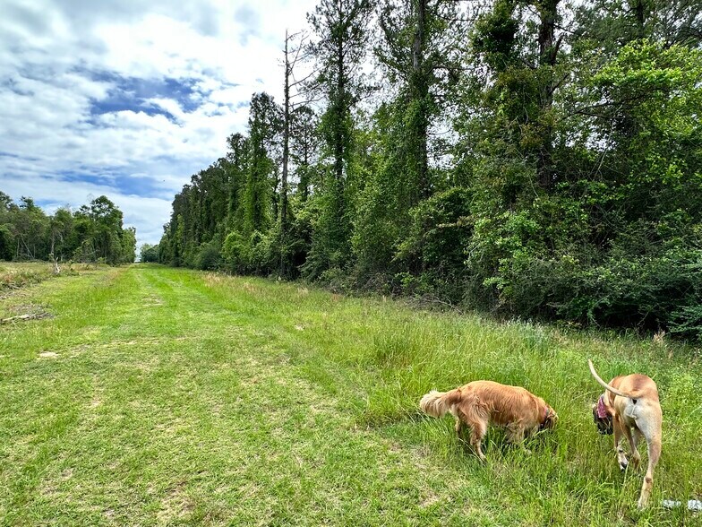 More Photos Of 0 Wilmer, Wilmer Land For Sale