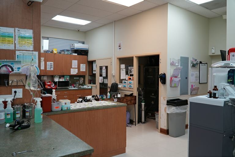 More Photos Of 9400 NW 58th St, Miami Veterinarian Kennel For Lease
