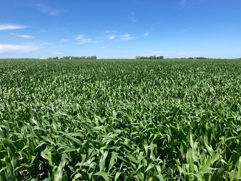 More Photos Of Lonetree Road, Central City Land For Sale