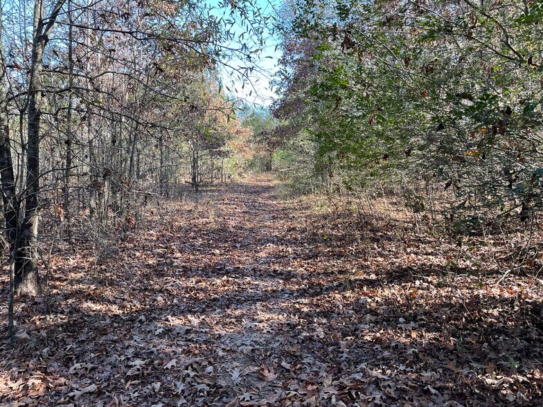 More Photos Of 2501 Auburn SW, Decatur Land For Sale