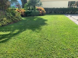 More Photos Of 2250 Palm Beach Lakes Blvd, West Palm Beach Storefront Retail Office For Lease
