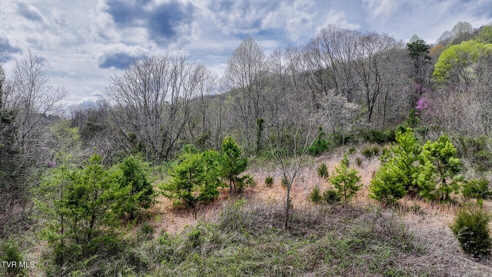 More Photos Of 340 Melinda Ferry rd, Rogersville Land For Sale
