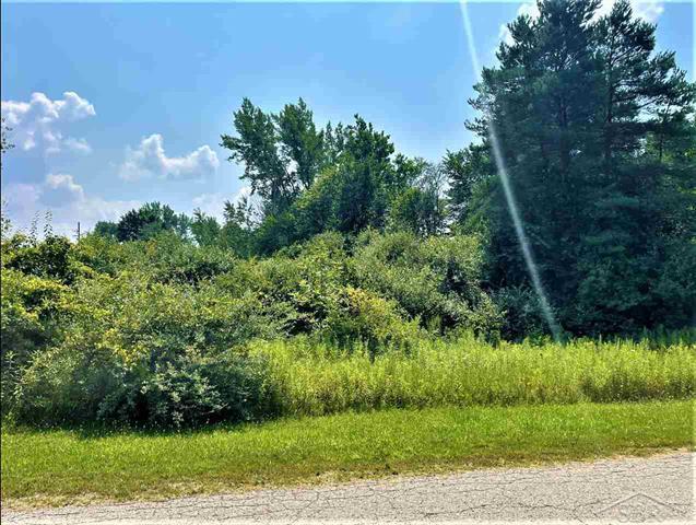 More Photos Of 580 State Rd, Vassar Land For Sale