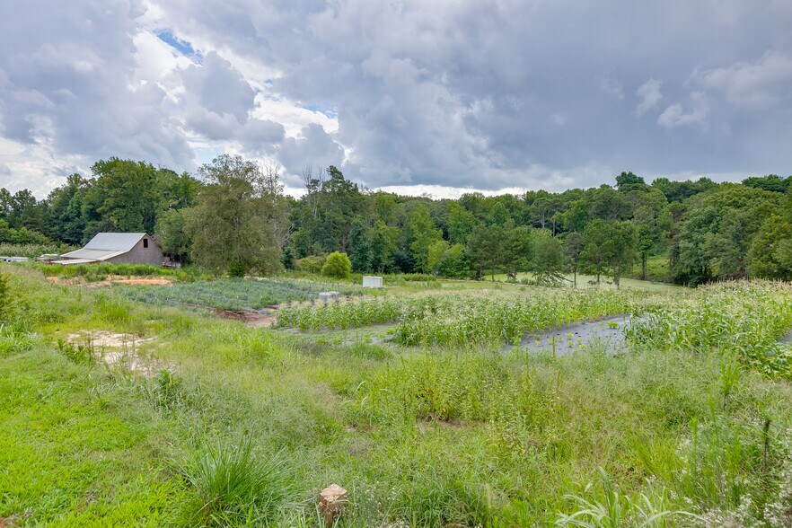 More Photos Of 4195 Schubert Rd, Flowery Branch Land For Sale
