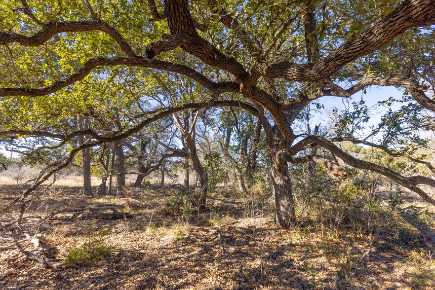 More Photos Of W Hwy 71 & Paleface Ranch rd, Spicewood Land For Sale