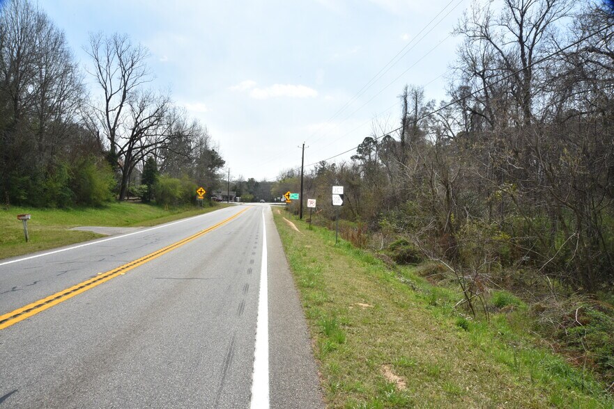 Primary Photo Of Warm Springs Rd @ GA-208, Waverly Hall Land For Sale