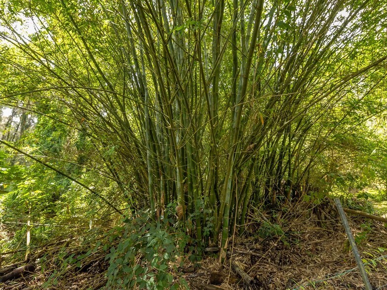 More Photos Of 47-4630 Mauka Cane Haul Rd, Honokaa Land For Sale