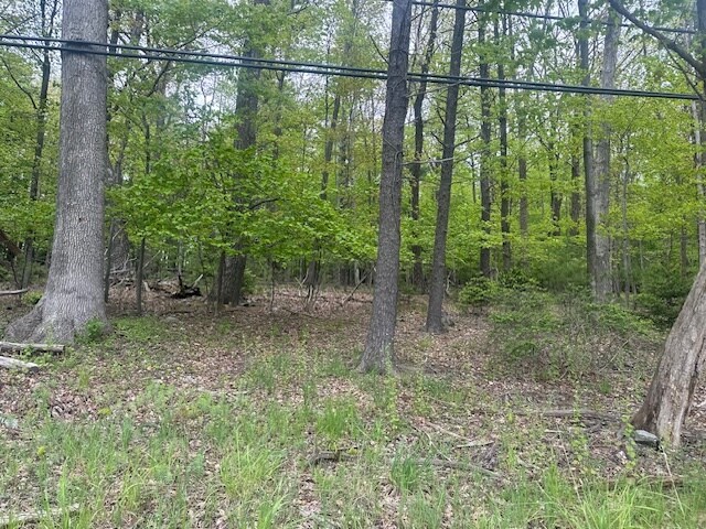 More Photos Of Route 611, Swiftwater Land For Sale