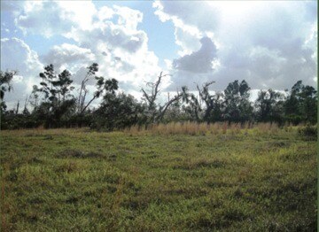 Primary Photo Of 0 Ranch Lake Lane, Alturas Land For Sale