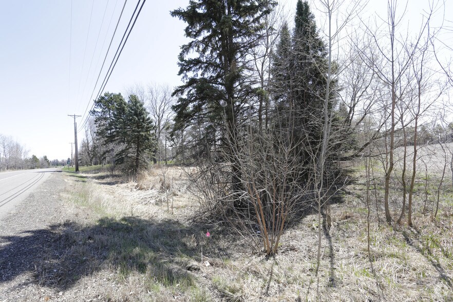 Primary Photo Of 4971 Scandia Trl, Forest Lake Land For Lease